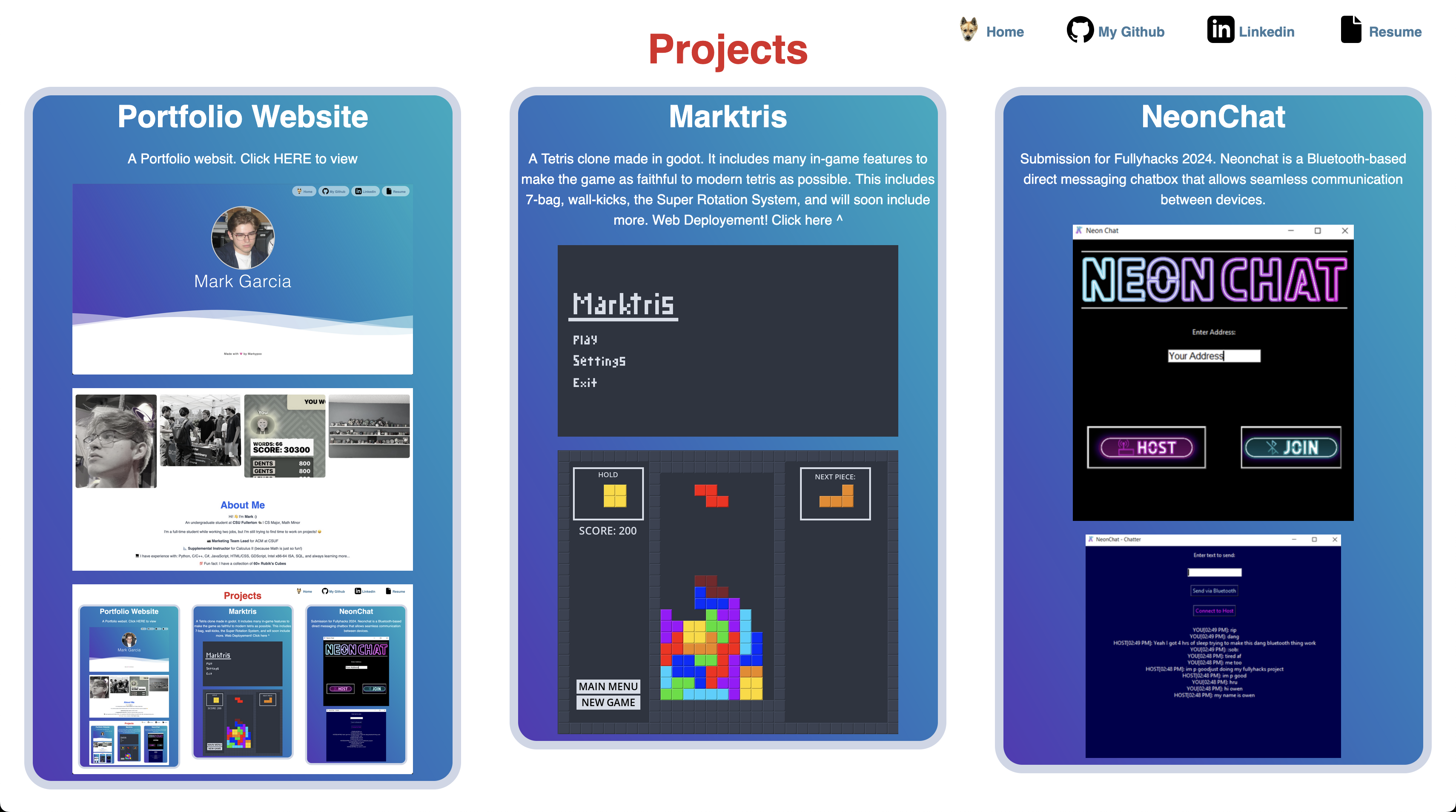 Portfolio Projects Screenshot